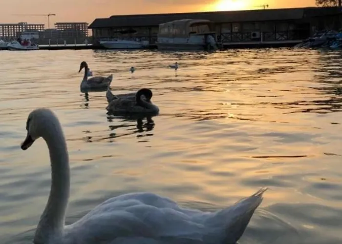 La Scoica Land Hotel 3*